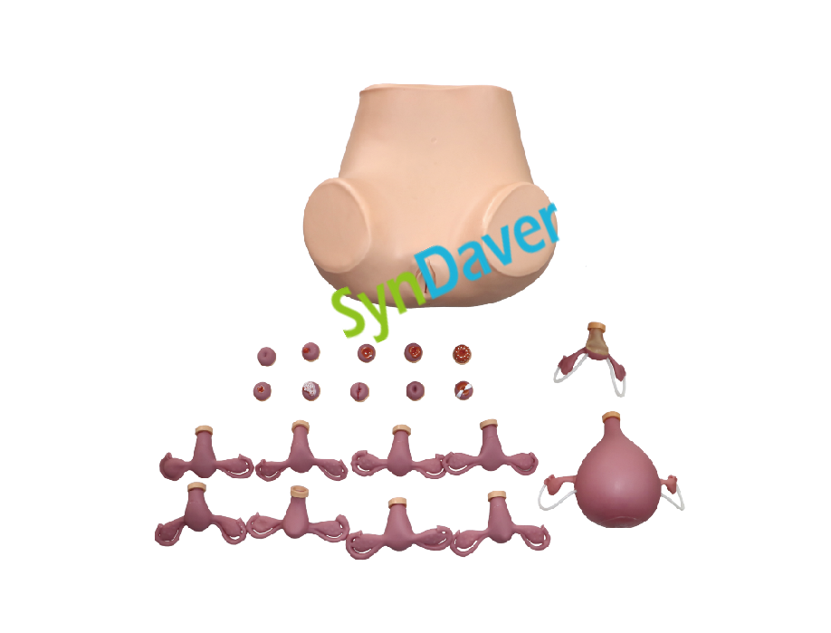 98b56359f9105338a21bee0bcd395fca