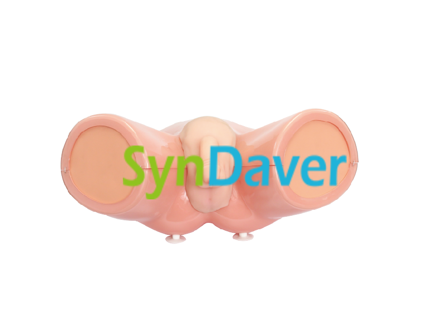 40df14489cf8206c73cf203cb555e790