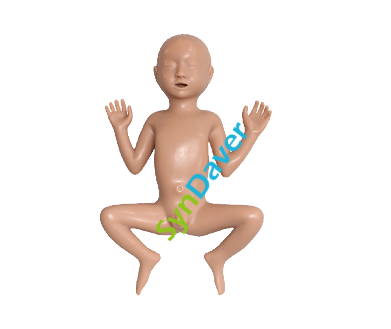 892017a9ef819f4fd6db918b54cc8d15