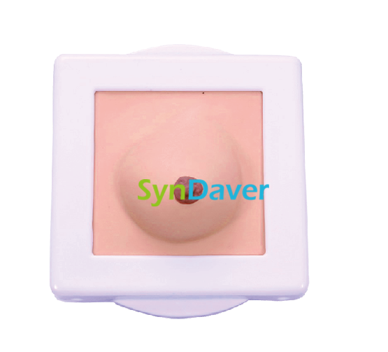 31fe0fb1cb484265939f57003de8191f