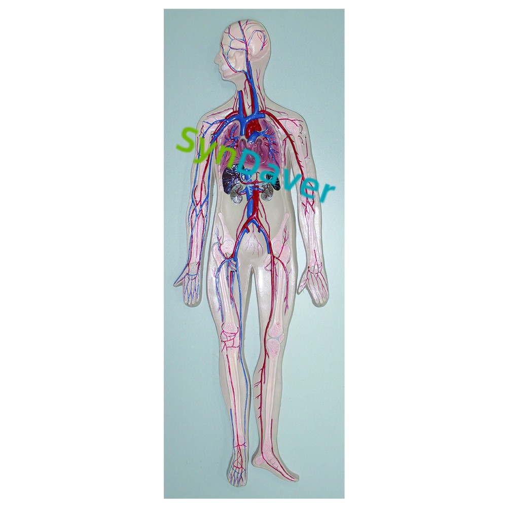 17df81369df8ee9a9d7ae2d757d6d582