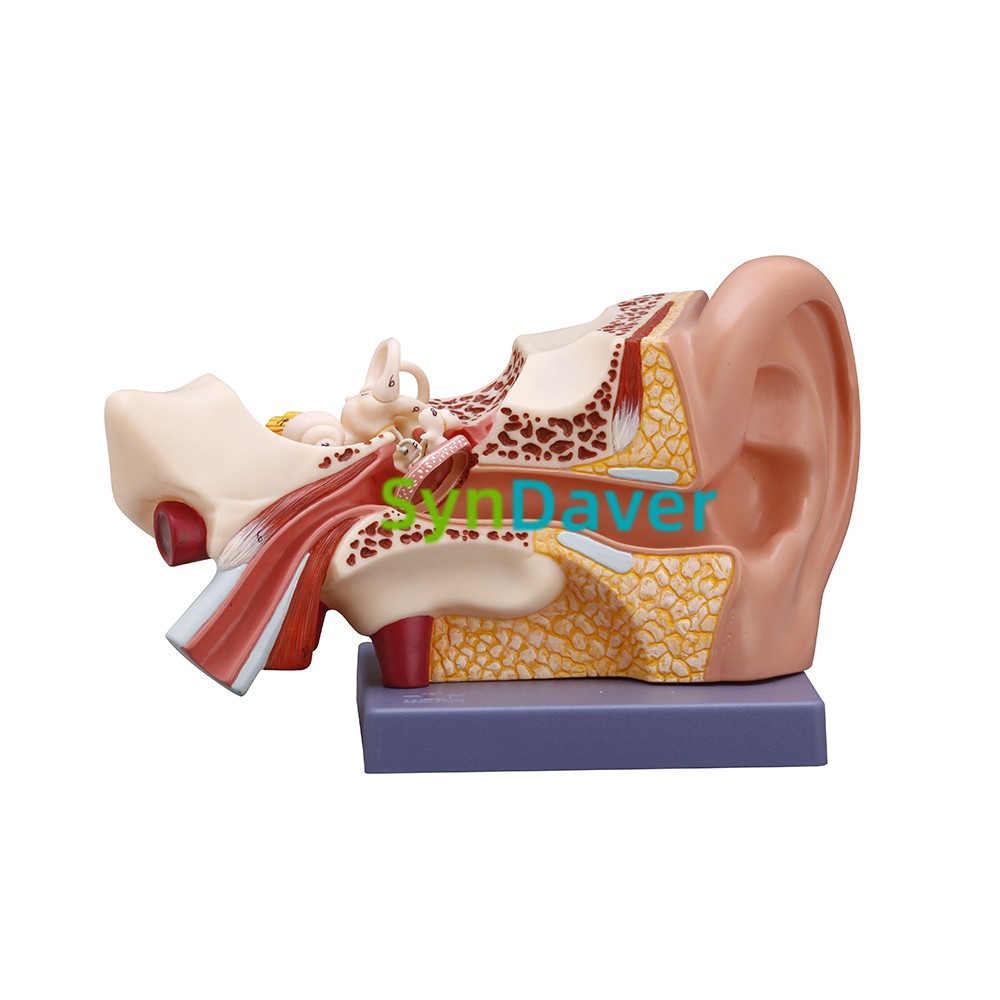 38353d11a63a81b64e13b3849fe73250