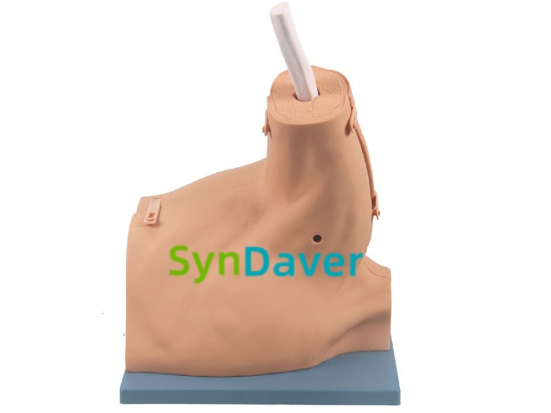 49931dc4630ea2d1a82051153f951dbf