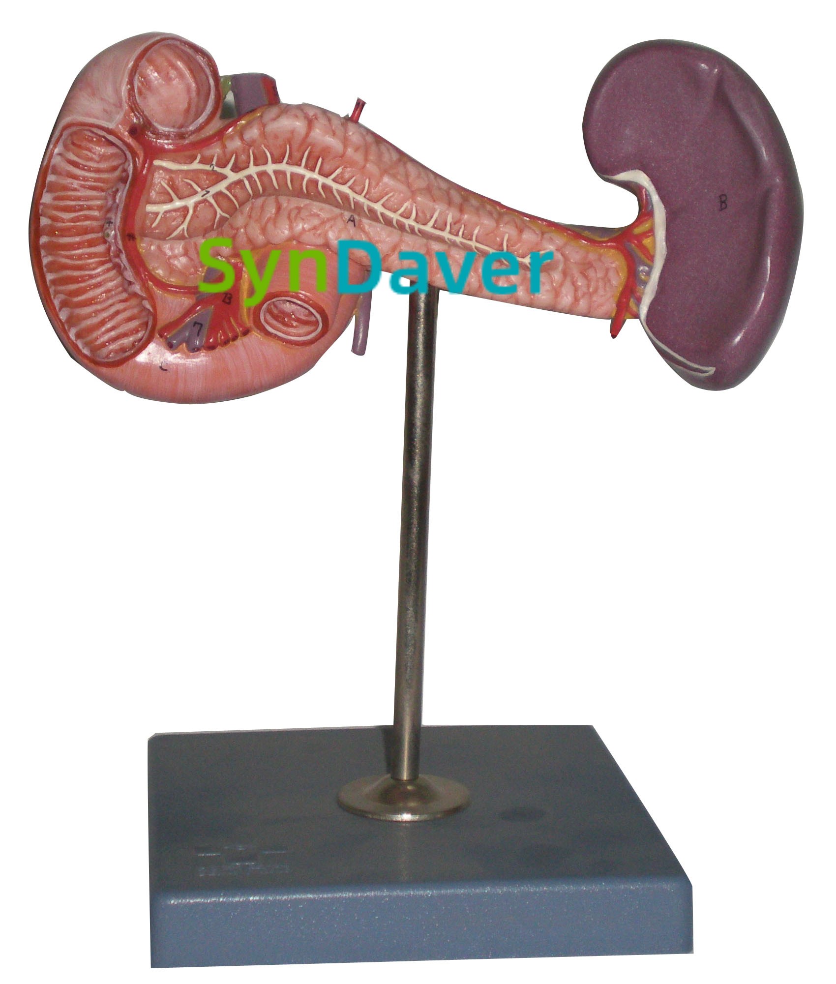 3c1addd1ccd4e03a932d4f9b9e7e5599