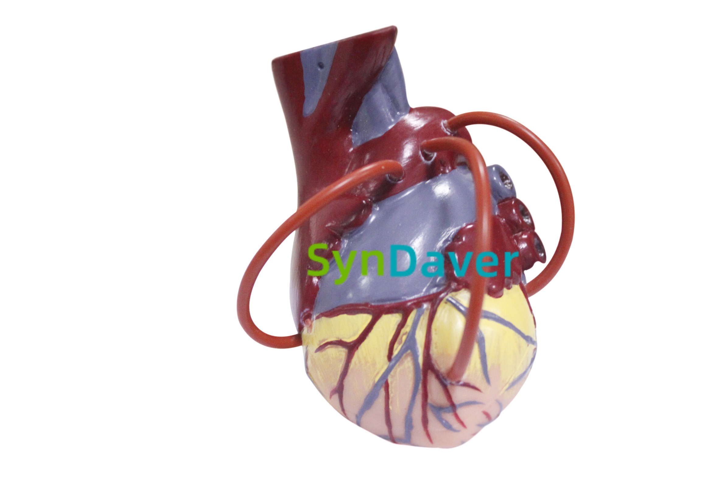 262f20236108763660c6ba4ebb637338