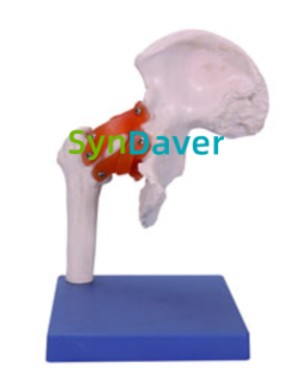 a8b883ed5629ba8e1b8378d7e64313f7