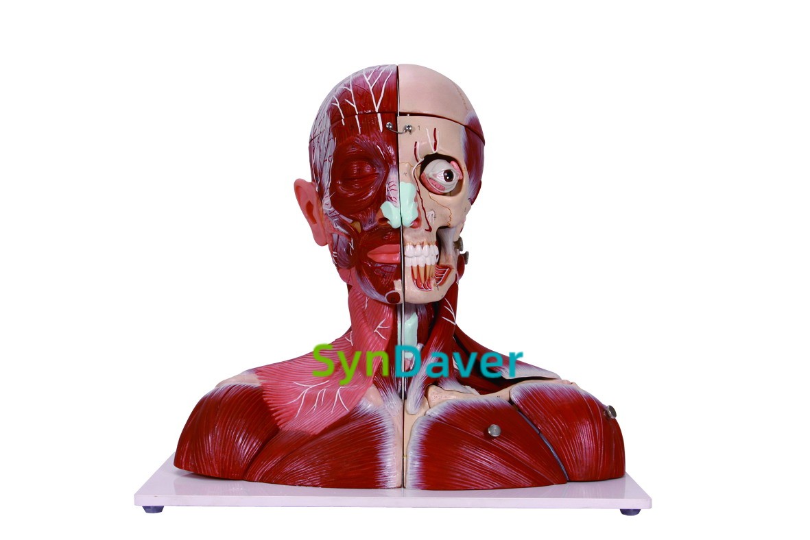 4b64ac7bf9a493b043c6f4e20e275d83