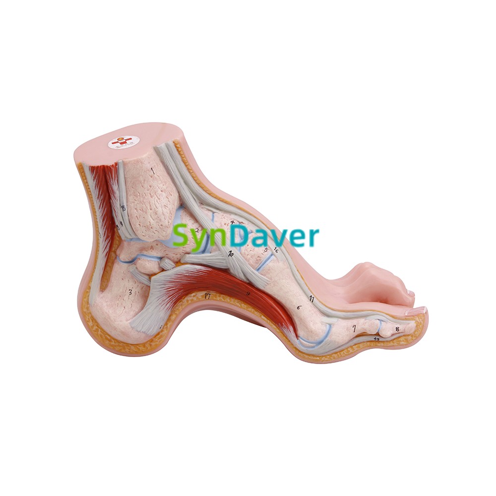 ffb7f63fb4a500914ddff02ffaa937e1