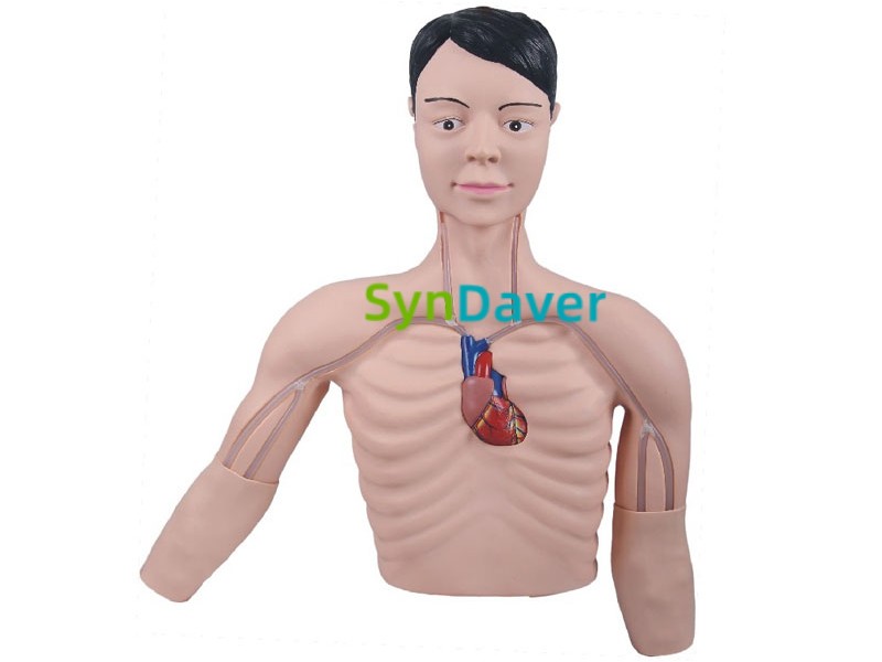 c4a66694da107ce367e215f1ae607ea1