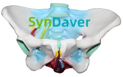 a99ccdb2c36cbeffaa8f7493702e77e8