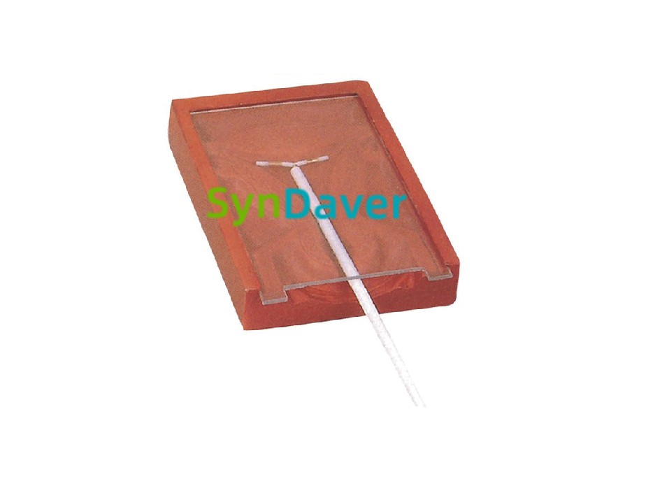 b4dac54e32f759a5331093f3fc269309