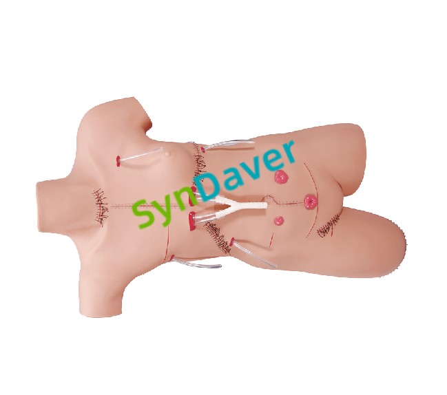 8192f17cb1d74261bc02a4ad103f1086