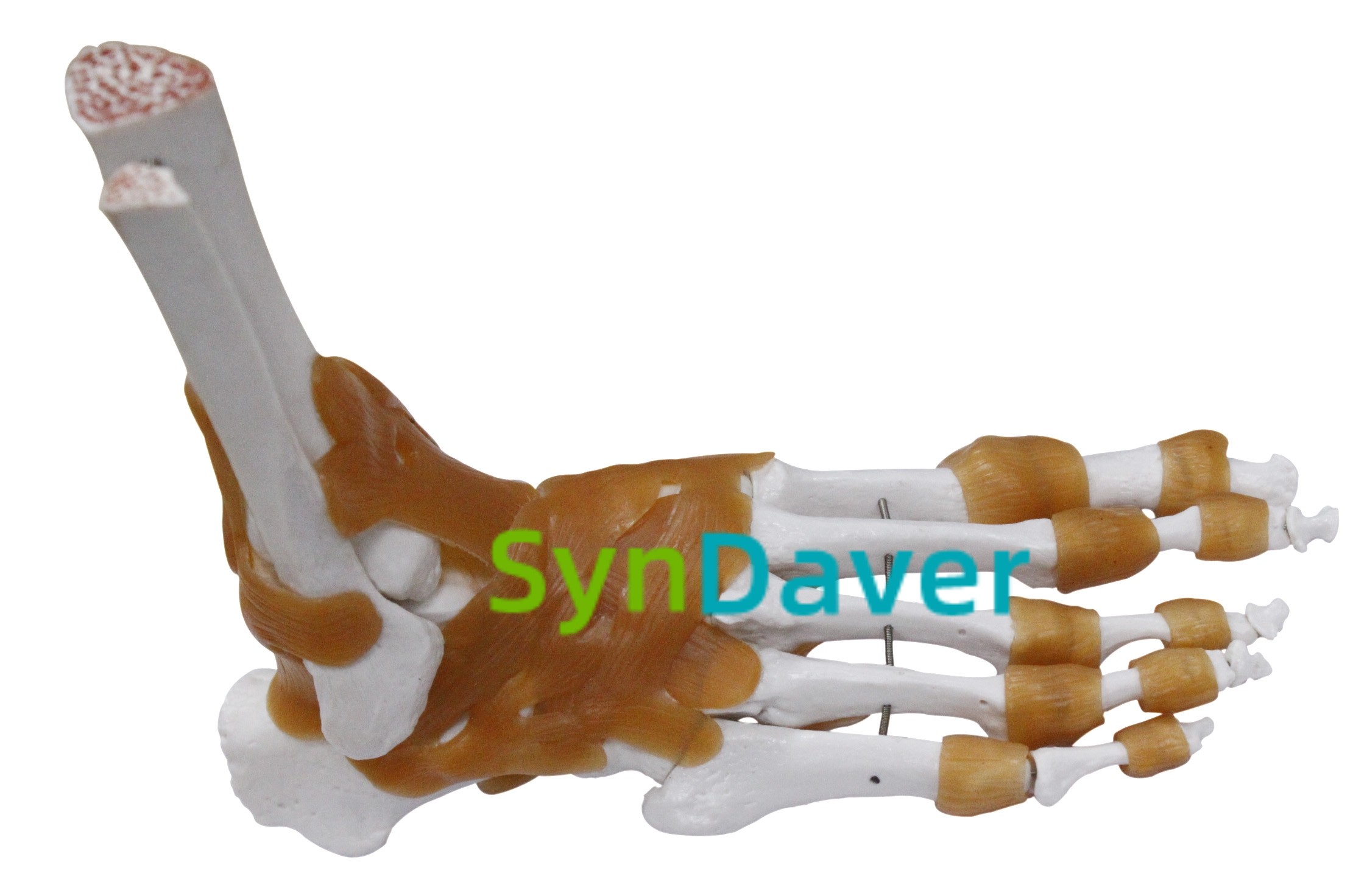 8aadafc042e3d63508c7e1dcb79ff931