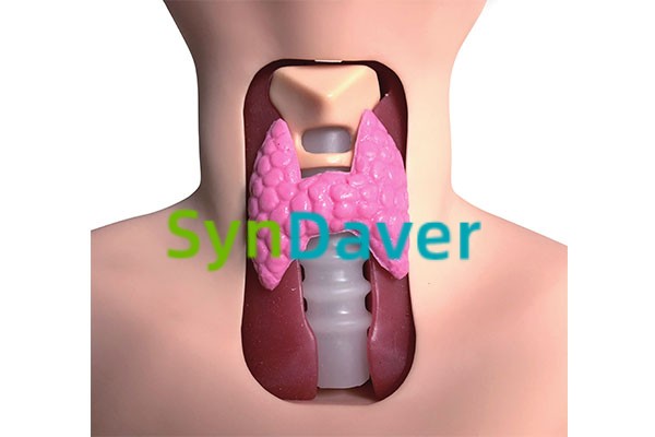 24afe936968a1a96c5873426213ea93f