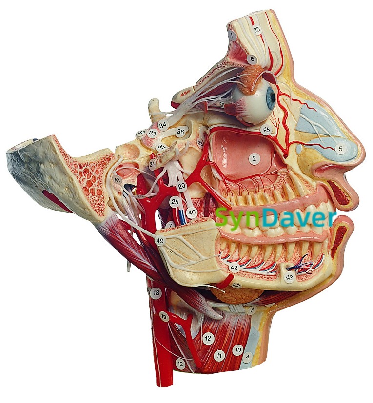 0ca9232dc240df936f8609cc9a35b1b5