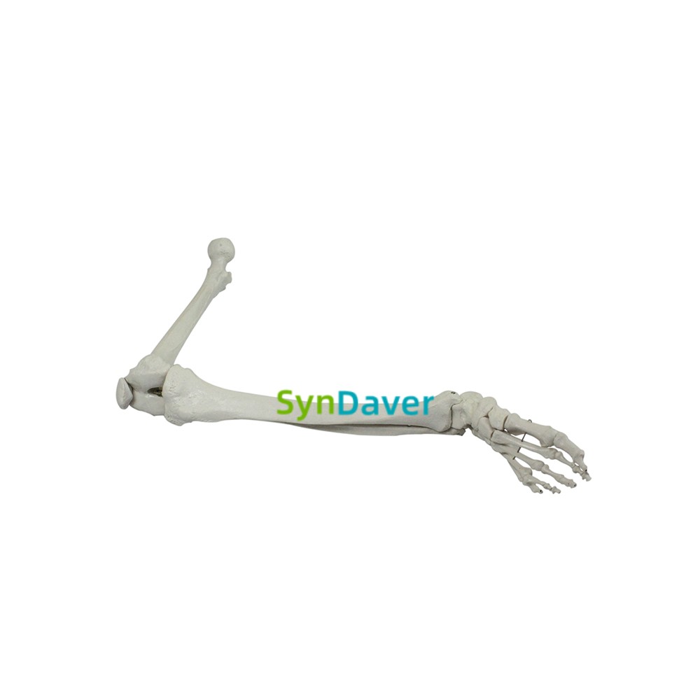 81ed6471e719aecf7cb78e7f2ff96fd7