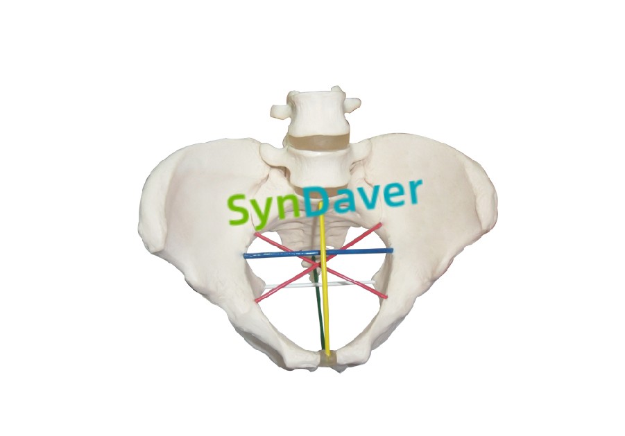 8c3165cc41cbe711f1f676da91758975