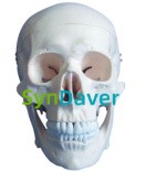 cd68c5179d9af68cf10882217ce2be67 (1)