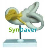 b150fb05b1fe6e33303d316e46a5488c