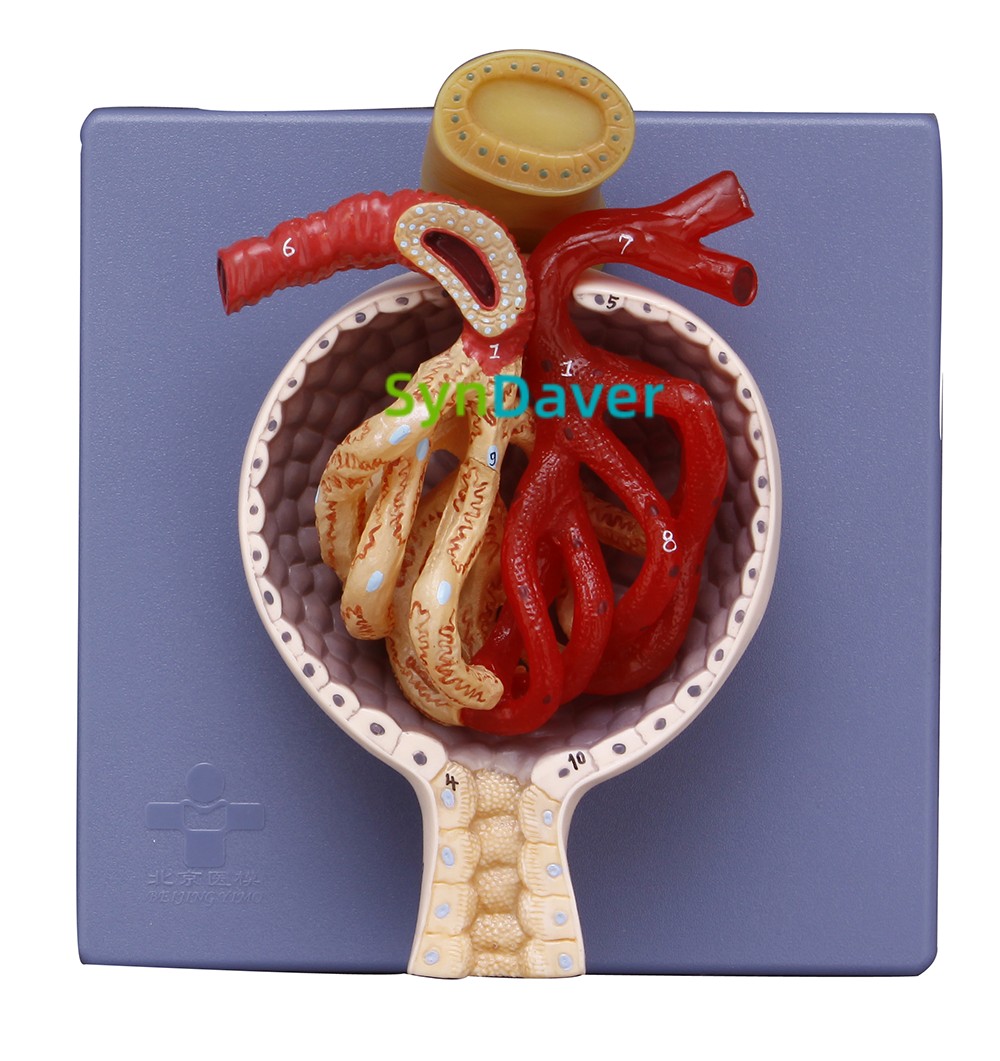 956080ecadbcc694547722f7bb222978