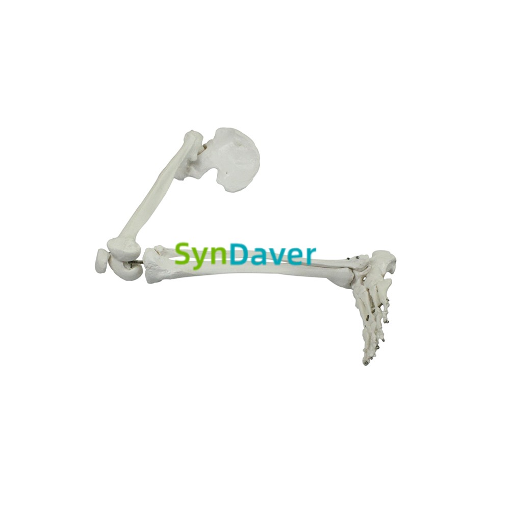 acda561e516be6b0b14ada2581add131