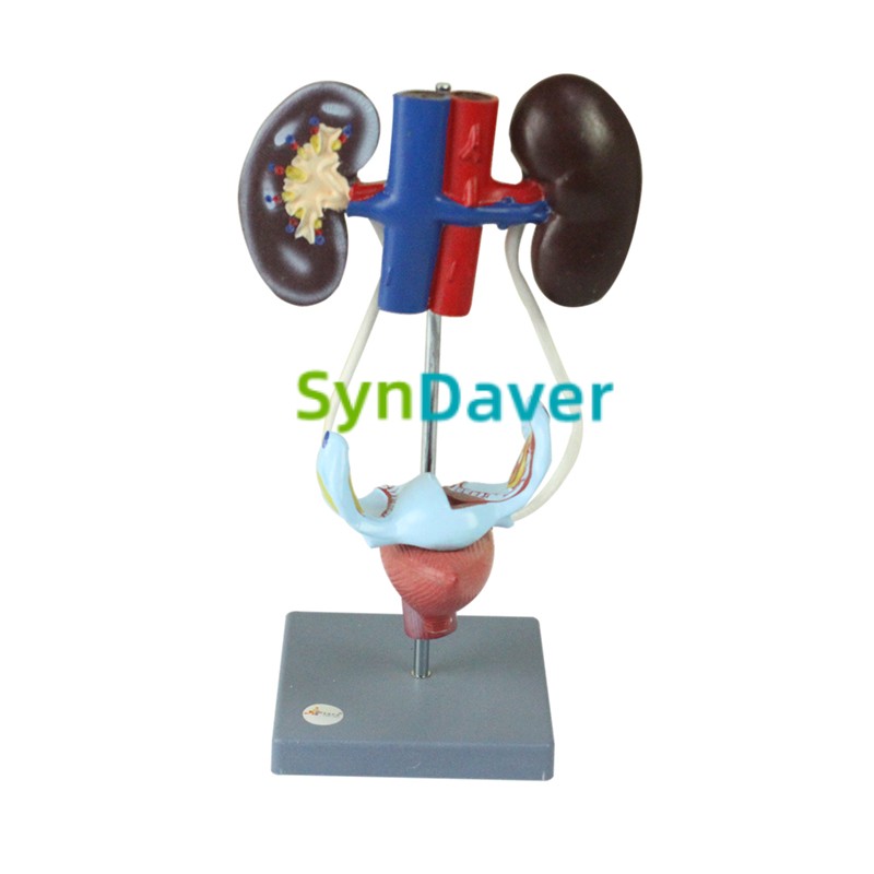 add750e11daa203d0dc806a9ab0760a9