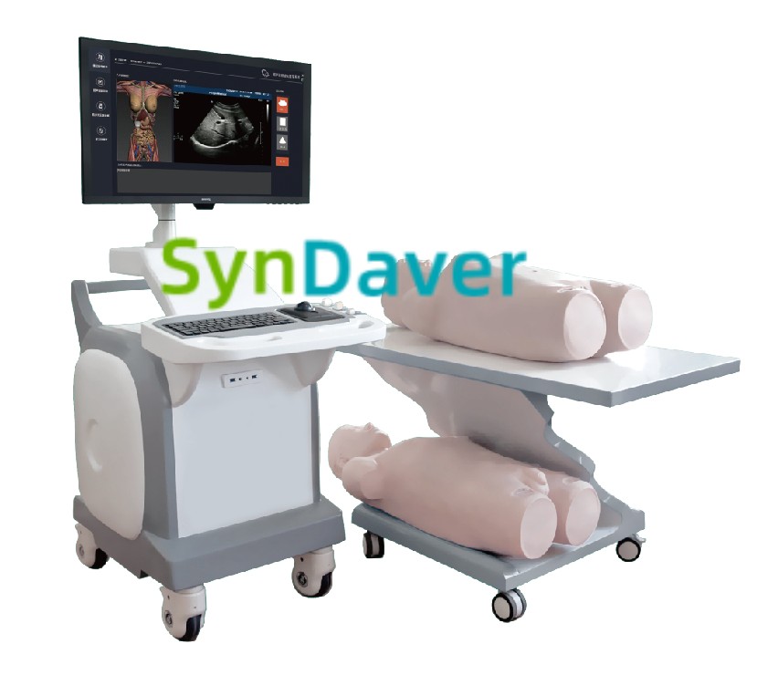 c89dfdc4ef6e5003e3d4ee799913a7f3