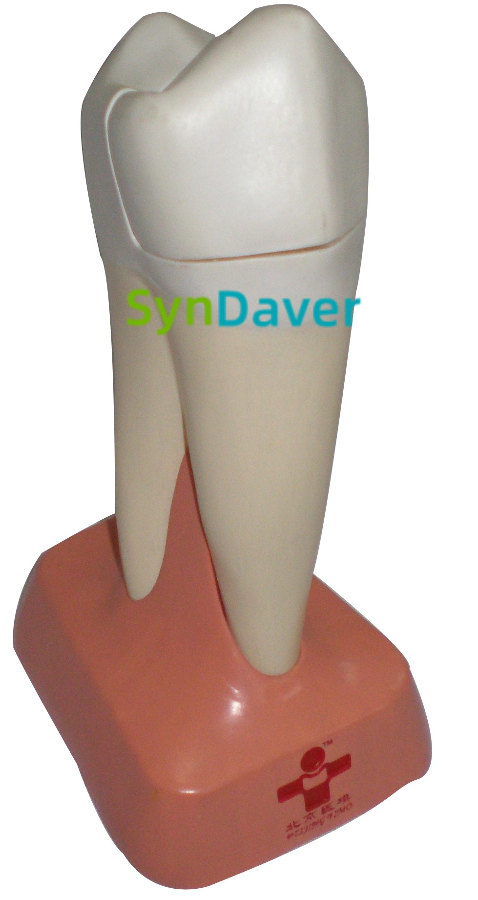 5933cdcdf63c1a4f74c7aac7596f55fa