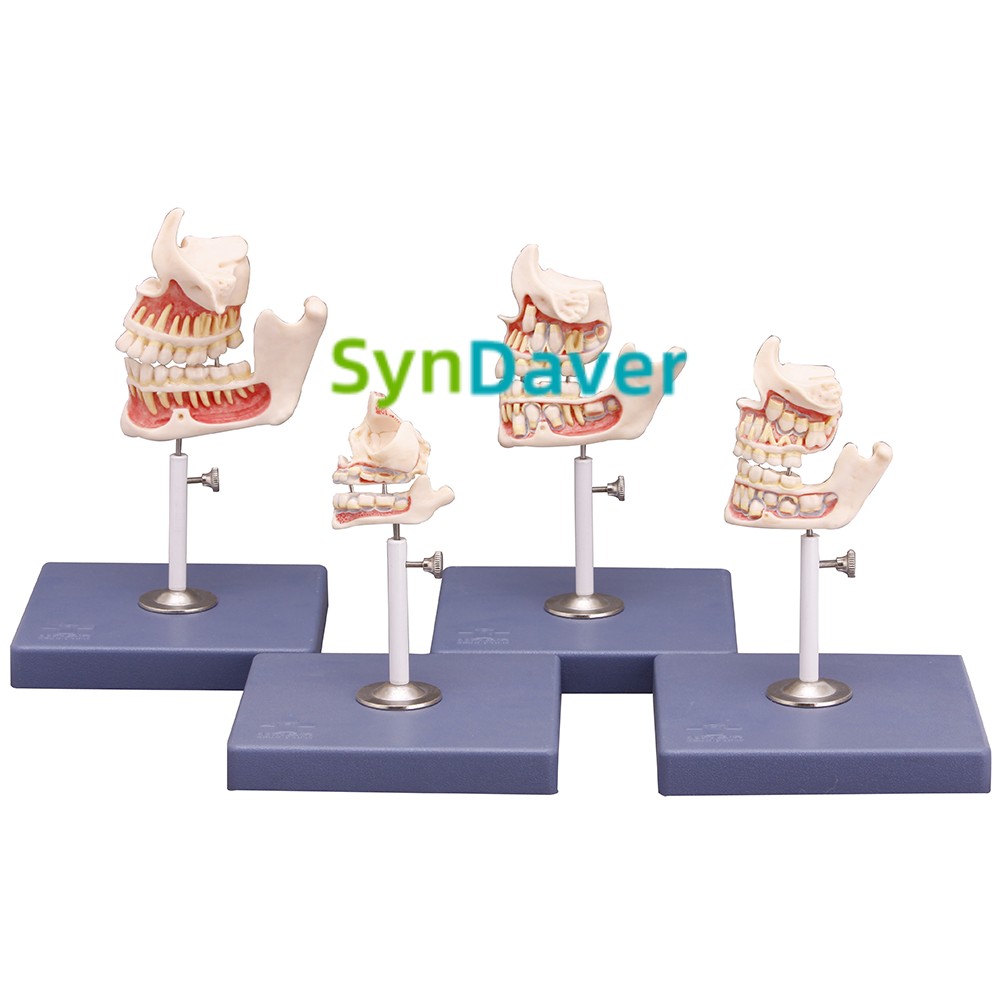 efb68d1bd1b1c711a007bfe76c76b7c3