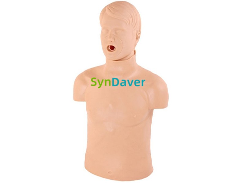 29367a4c004b2a439ed6eab25fcd63ed