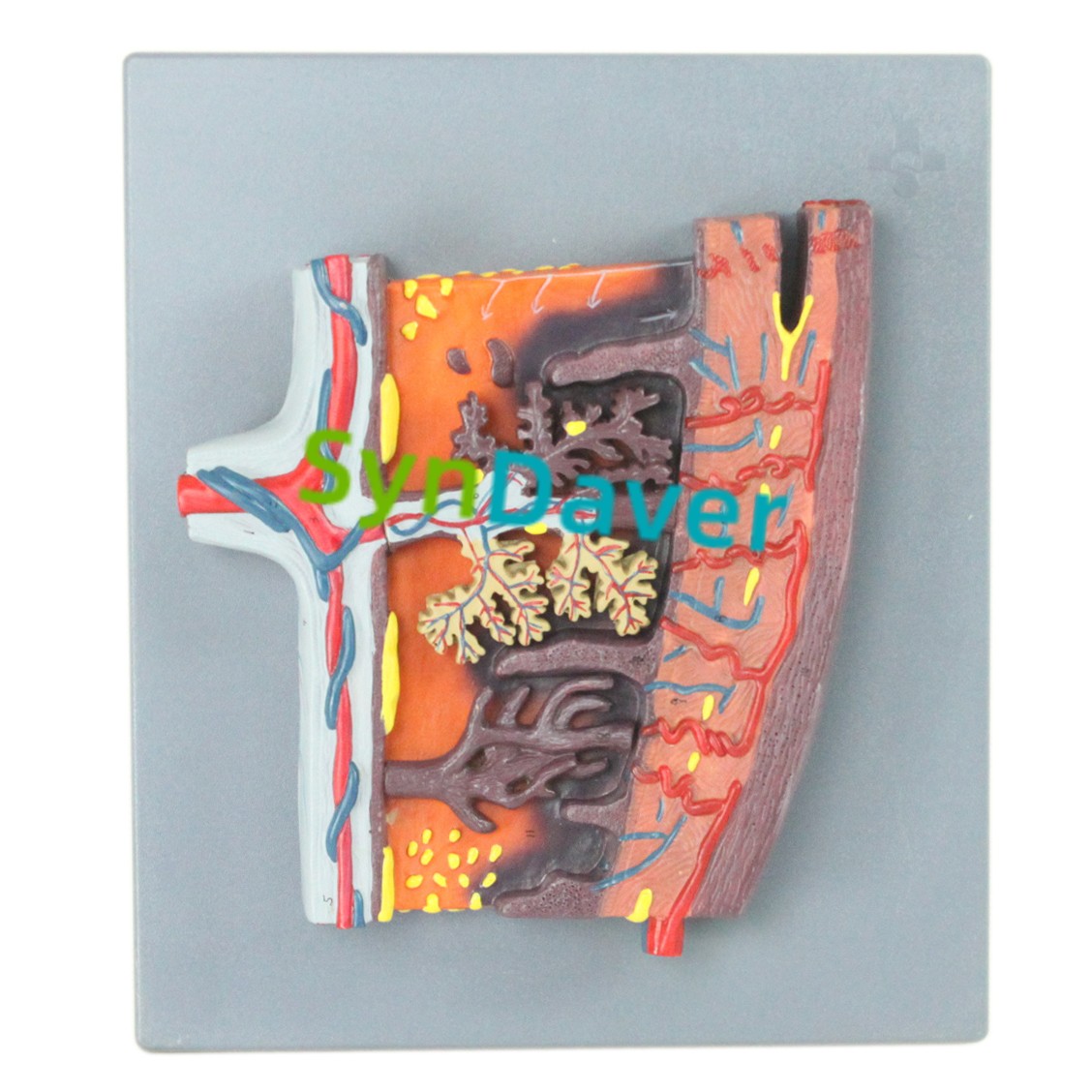 6c7b6621dd516b4365bdc6f40ba21a2d