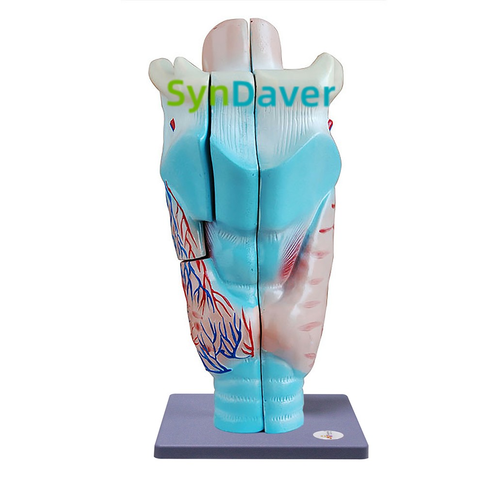 36d6293122415913e980577066848624