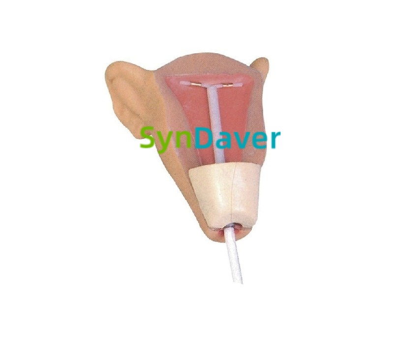 bd1530341a2175261273c7e6d95287f7