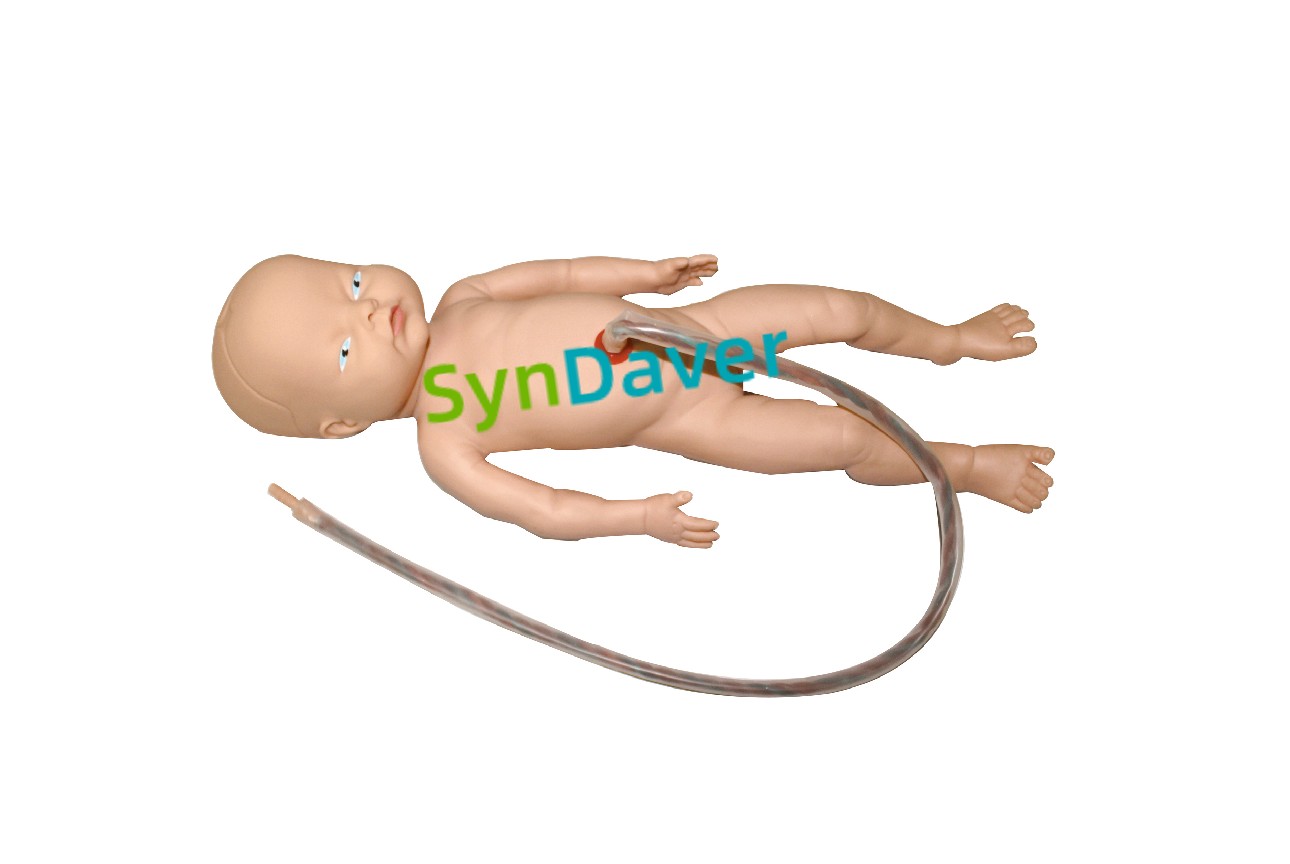 66ae85873674f5fda26d130fcd9d2492 (1)