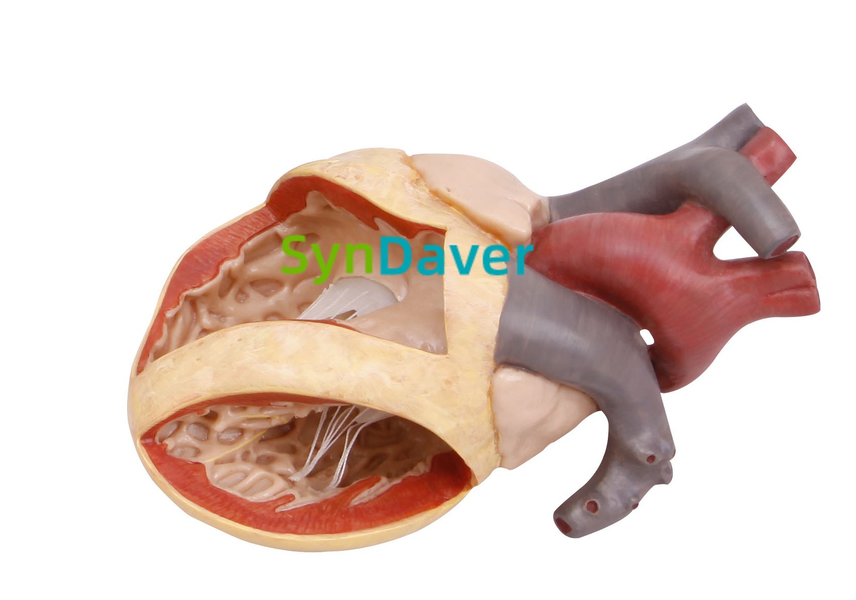 87388e5e94b6ceb36f9209df1c7be84d