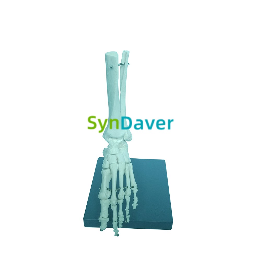 28bcc6d4278fc6e7553d2b504b289eee