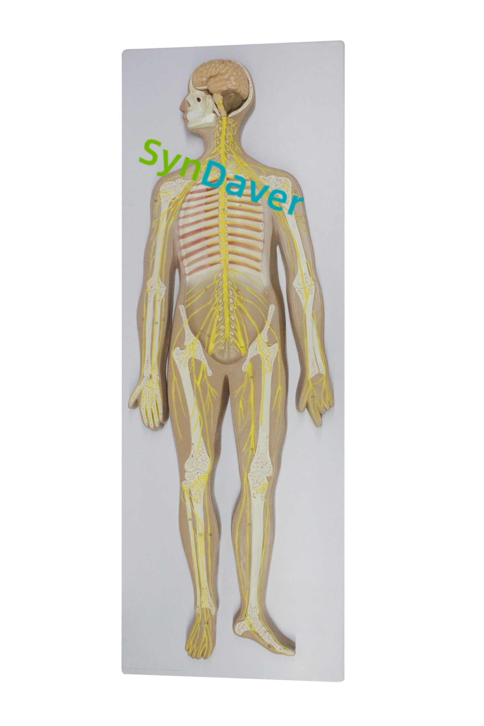 ab73a8a53d285afe356c16e7d965e470