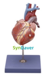 cc7697219955715d3d57b4ec9cf4a27c