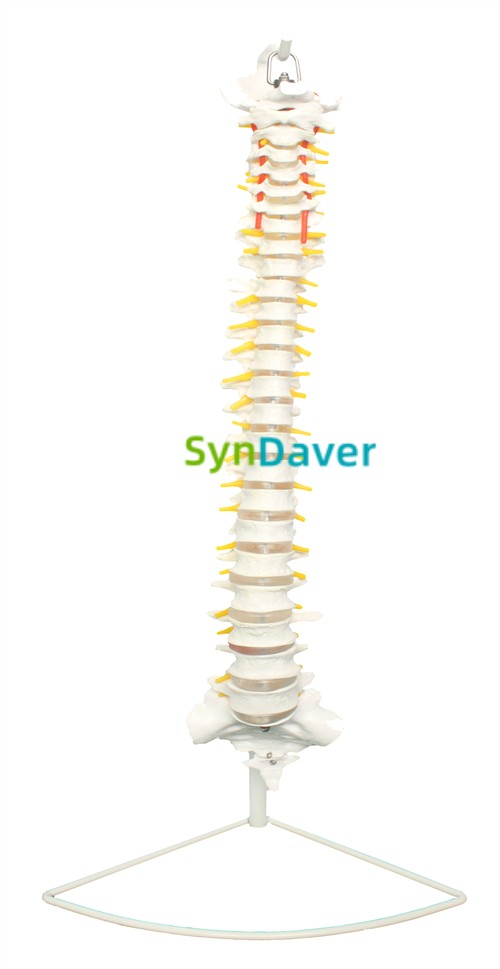 ab3368c3bd7ac2f75a78ccde4ed875e2