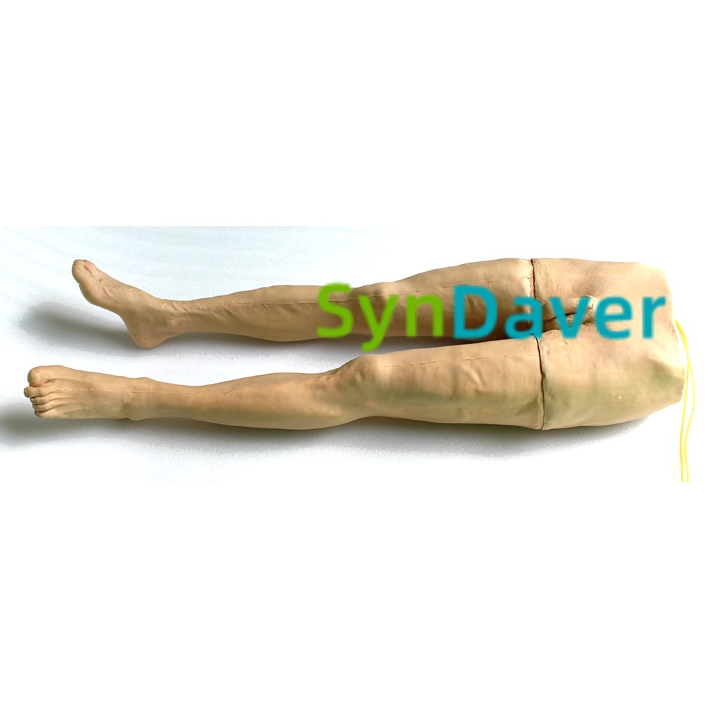 dce4311c6db6ae99a86dfb4312dbc4d5