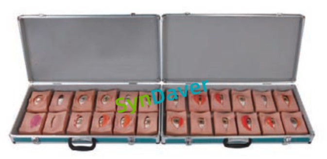 5ae3ffee74c8c615346245fb76b980bb