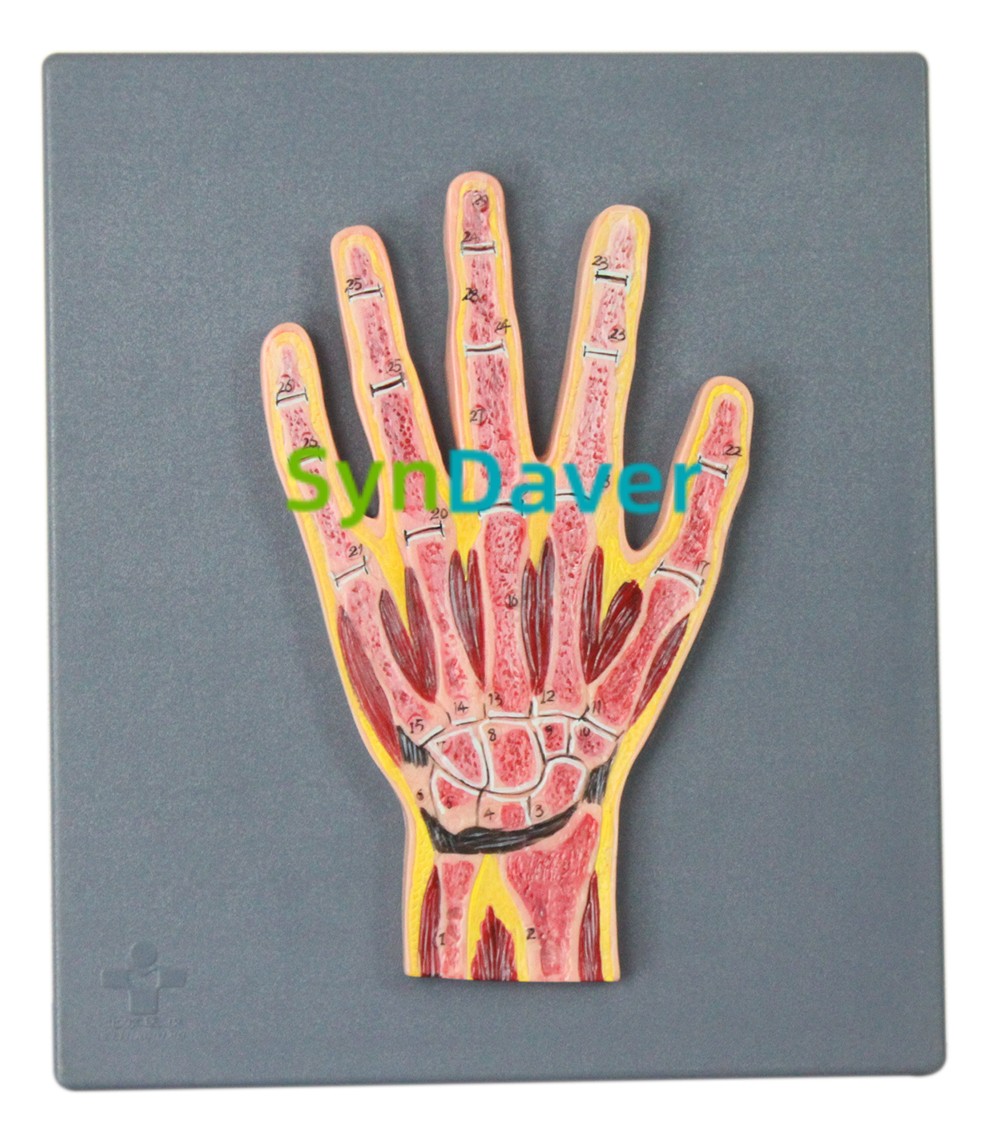 5531647ca0c14b160937bddc09fdf1ae