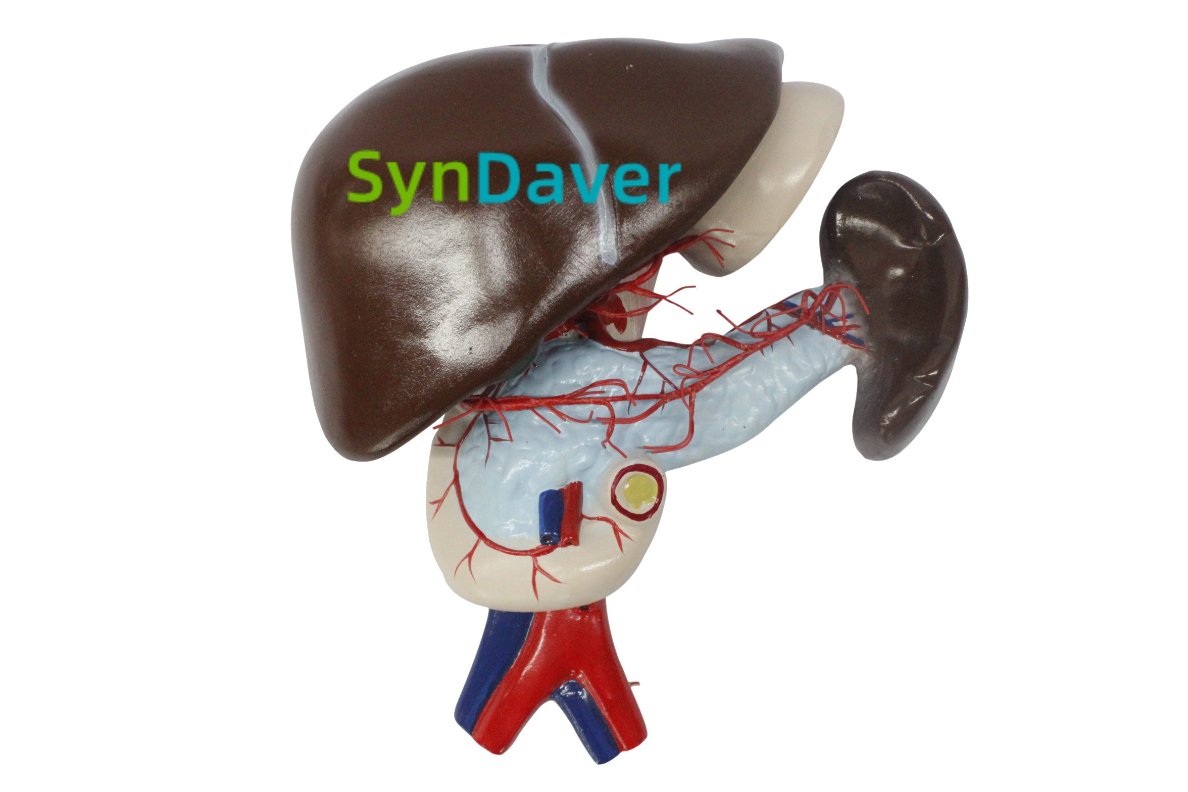 936d5dddd83975d04cbab5de4ac9d223