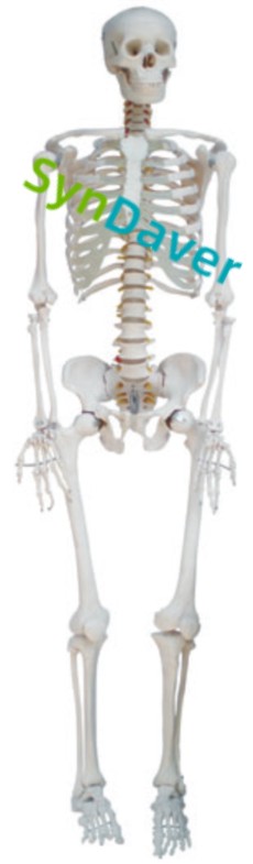 04cbb52ff6714639d845ec4585ea639e (1)