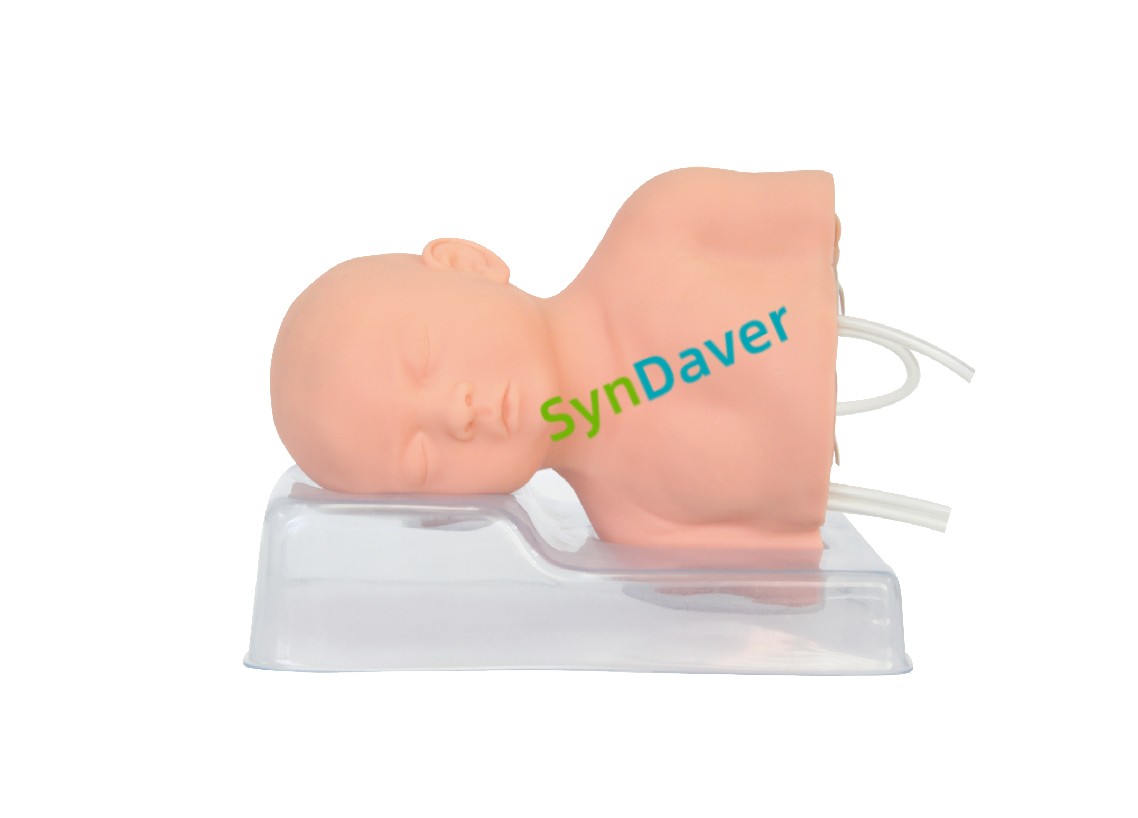 df3ce35a9eda9b415f53ac463fc242a0