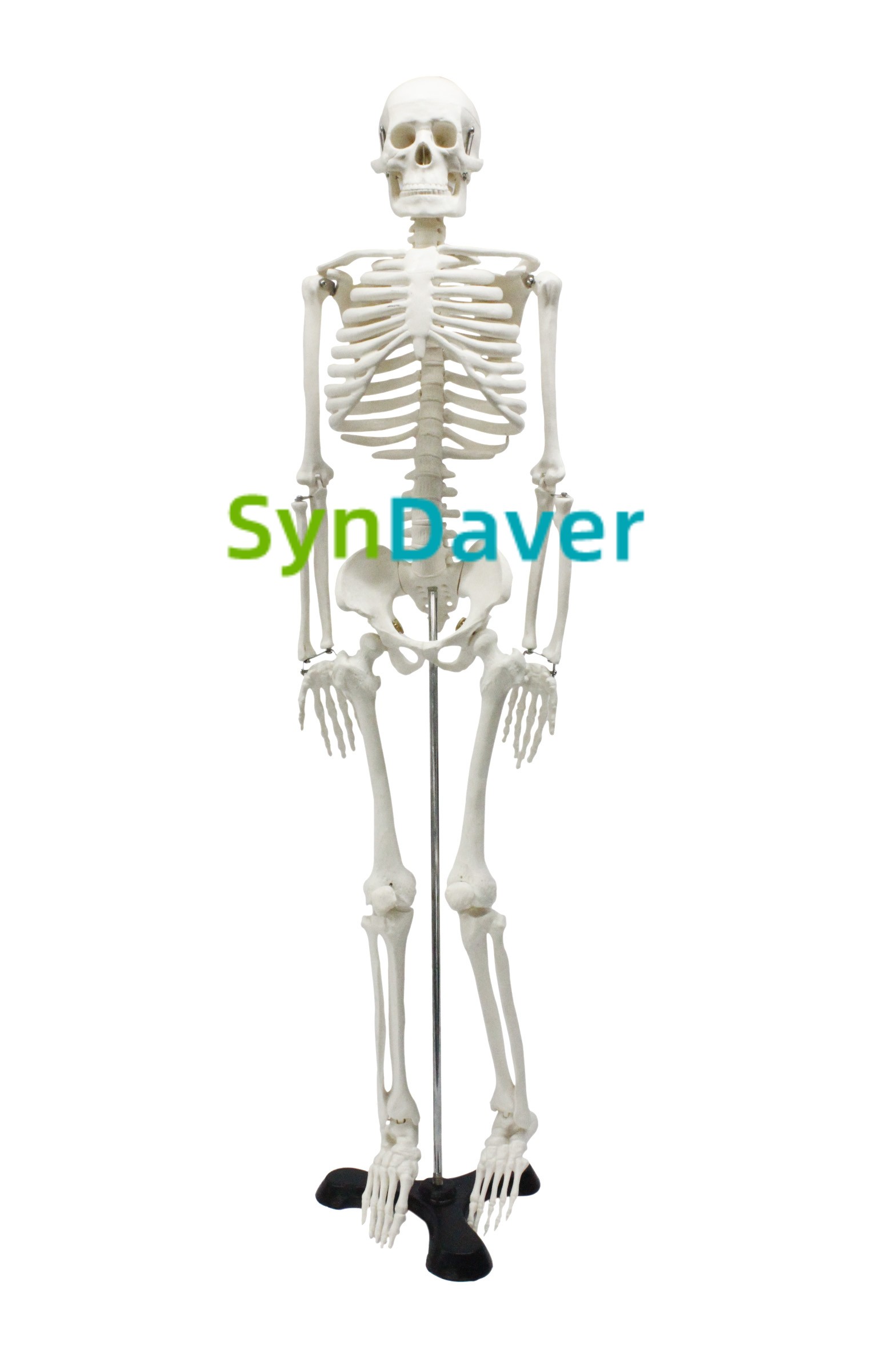 2a1900375827083748e8a87c6b31a58a