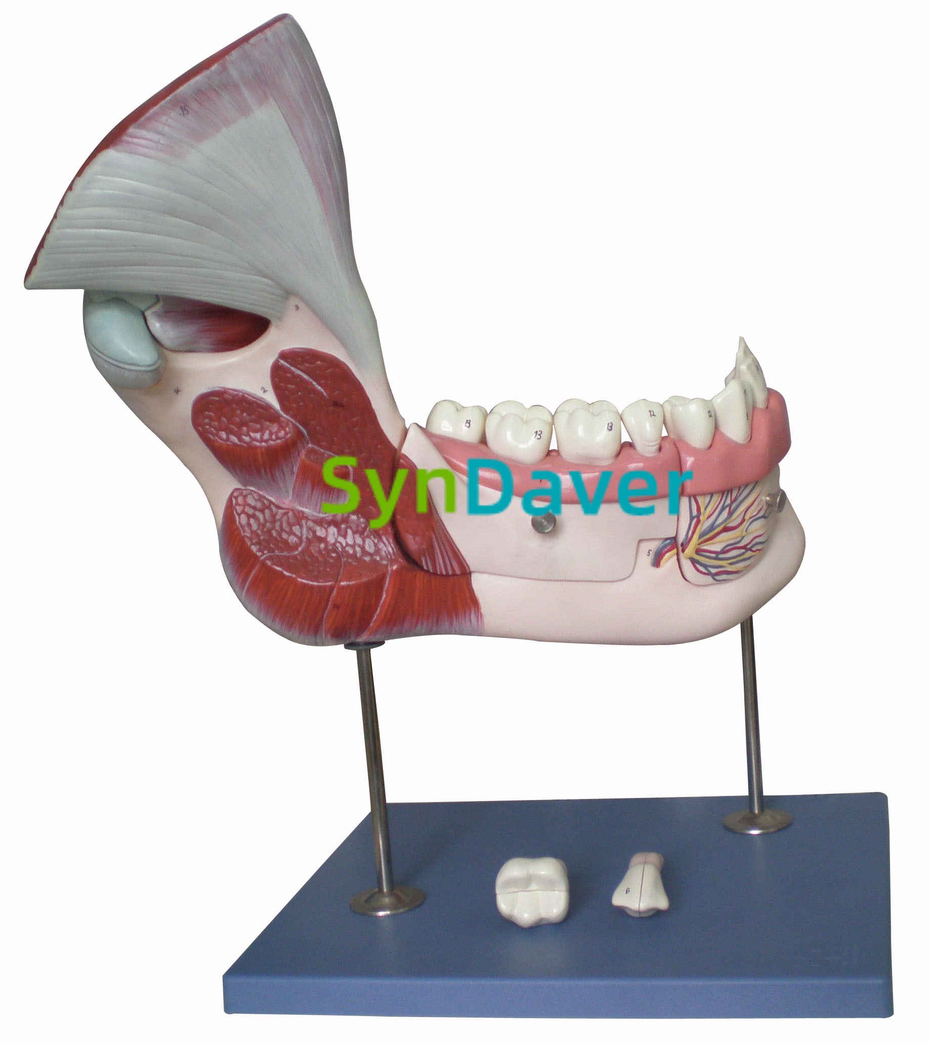 457cc7f28e40d3fefb24ea7c1bb6aee1