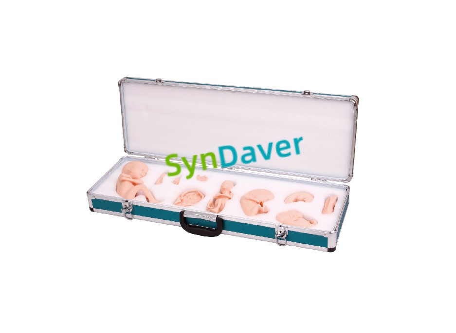 692b87bf43290a58ab61b5cca3ed30ef