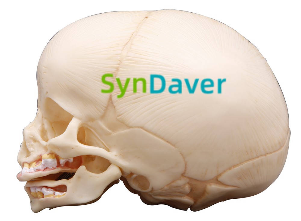 9851bf1f7e25cbda024728b9fe439650