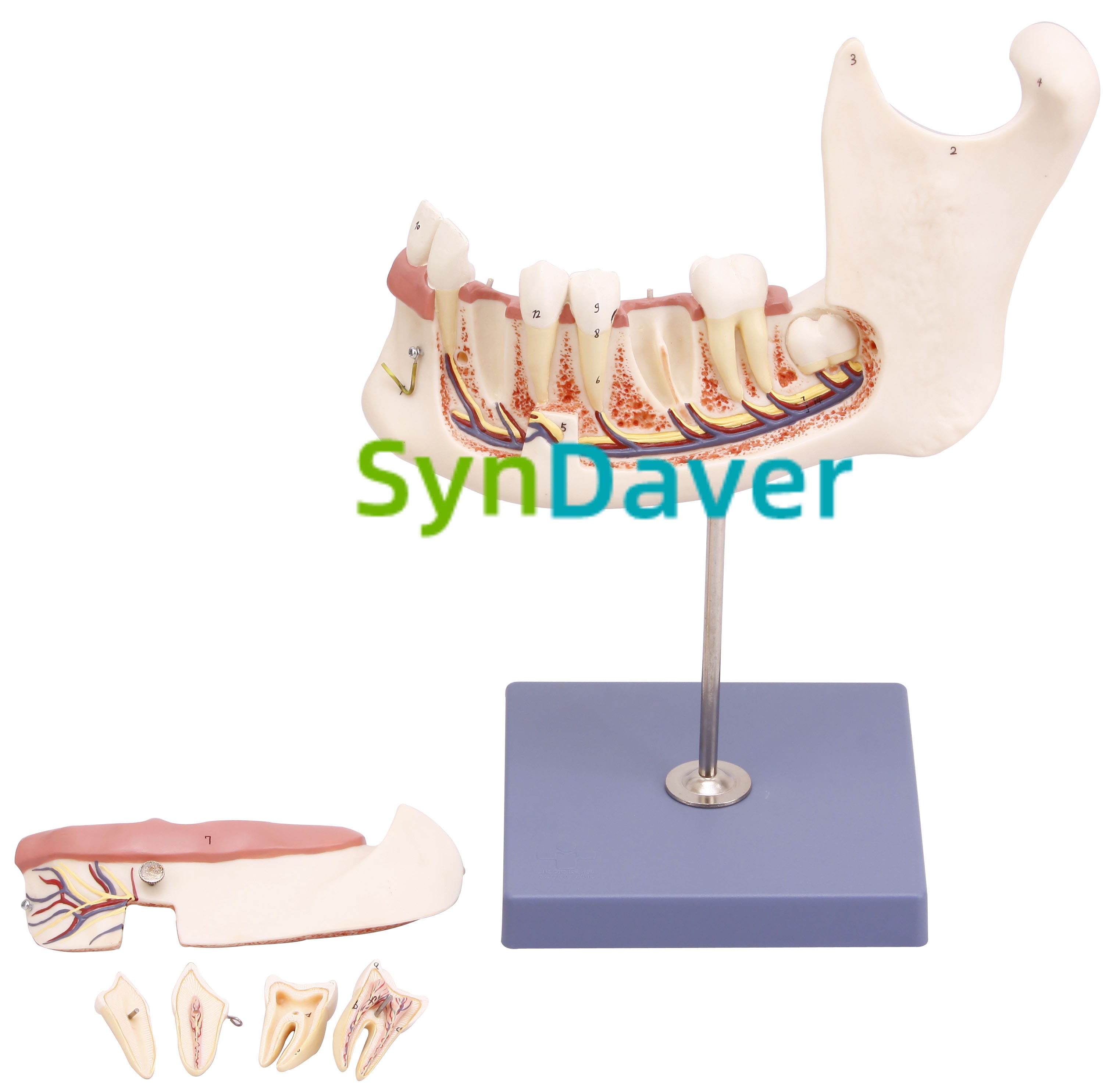 5191fd9d52679fc2fbb4072e44963eb1